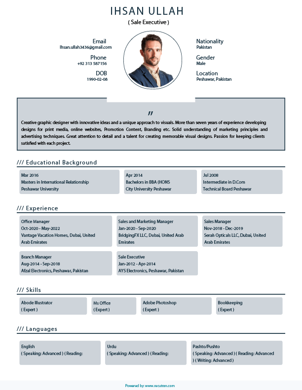 Professional Resume 4